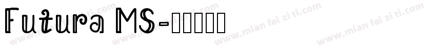 Futura MS字体转换